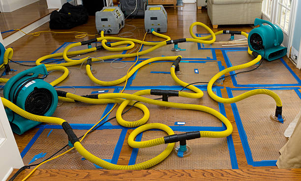 Professional Flood Damage Restoration technician working in Union, OR